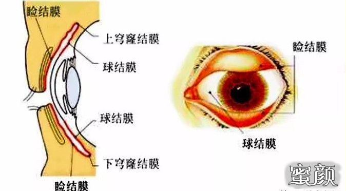 案例图片