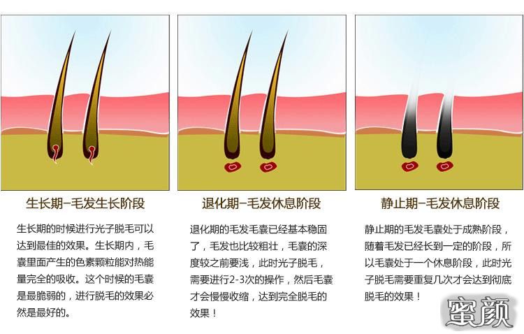 案例图片