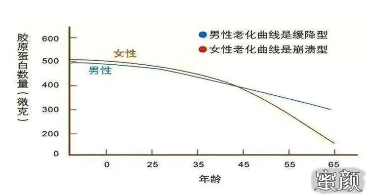 案例图片