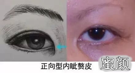 https://img.miyanlife.com/mnt/timg/210303/16310G228-12.jpg