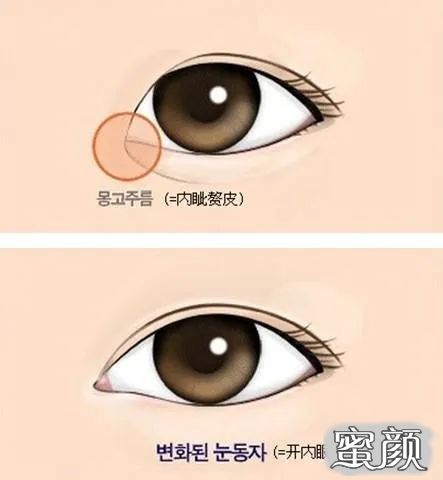 https://img.miyanlife.com/mnt/timg/210303/16310RE3-13.jpg