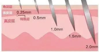 https://img.miyanlife.com/mnt/timg/210308/1R43S237-7.jpg