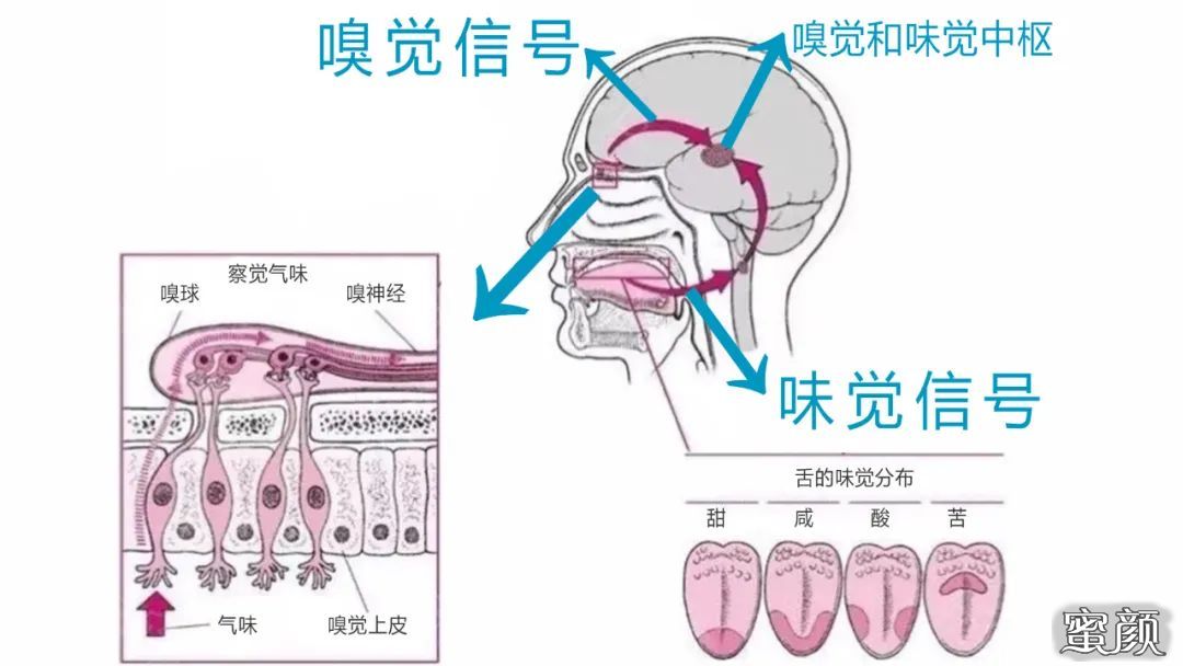 案例图片