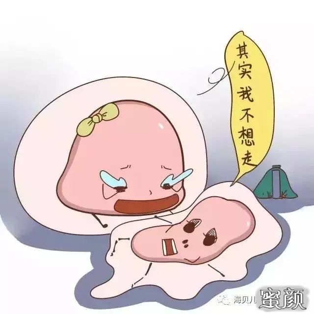 案例图片