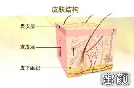 案例图片