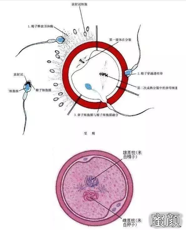 案例图片