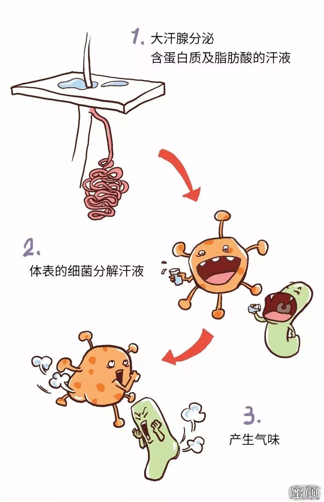 https://img.miyanlife.com/mnt/timg/210316/2101154I1-0.jpg