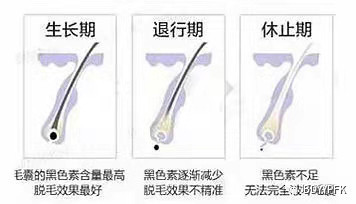 案例图片