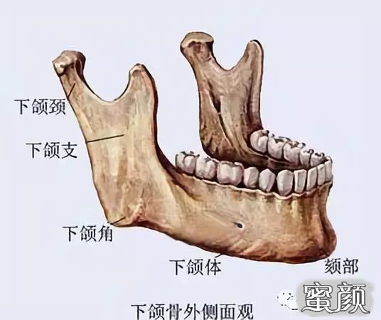 案例图片