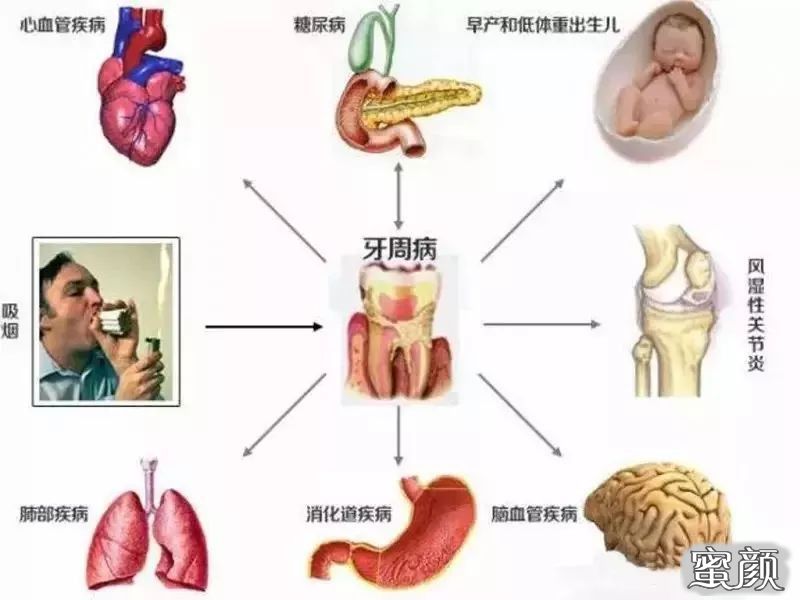 案例图片