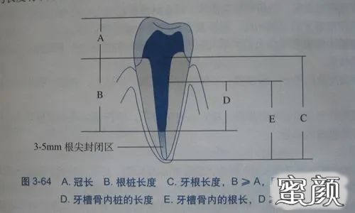 案例图片