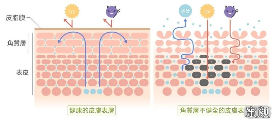 案例图片