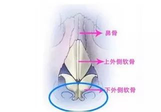 案例图片