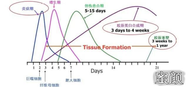 案例图片