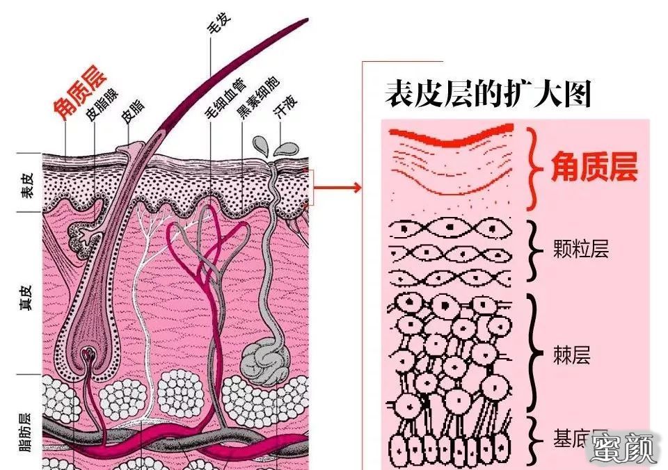 案例图片