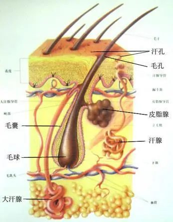 案例图片