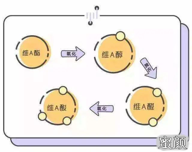 案例图片