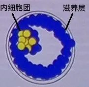 案例图片