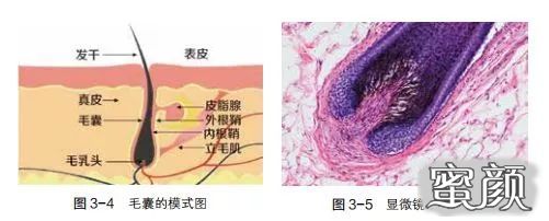 案例图片