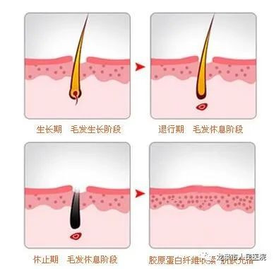 https://img.miyanlife.com/mnt/timg/210410/1F1035331-3.jpg