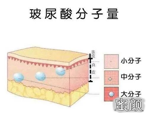 案例图片