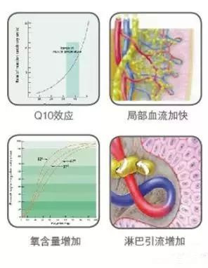 案例图片