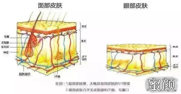 案例图片