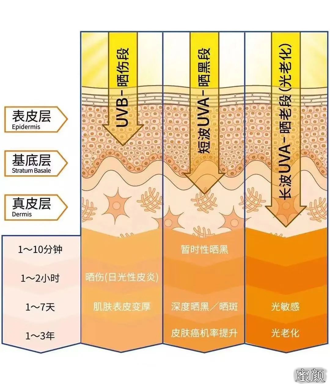 https://img.miyanlife.com/mnt/timg/210420/22010G002-4.jpg
