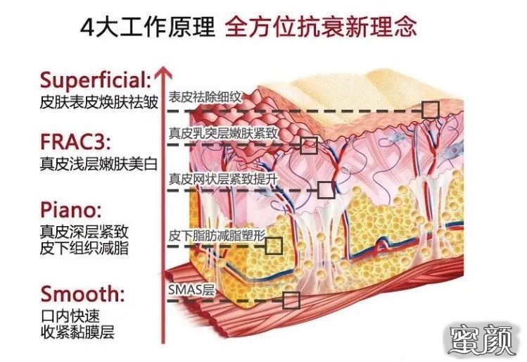 https://img.miyanlife.com/mnt/timg/210422/0K6335139-4.jpg