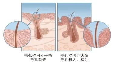 案例图片