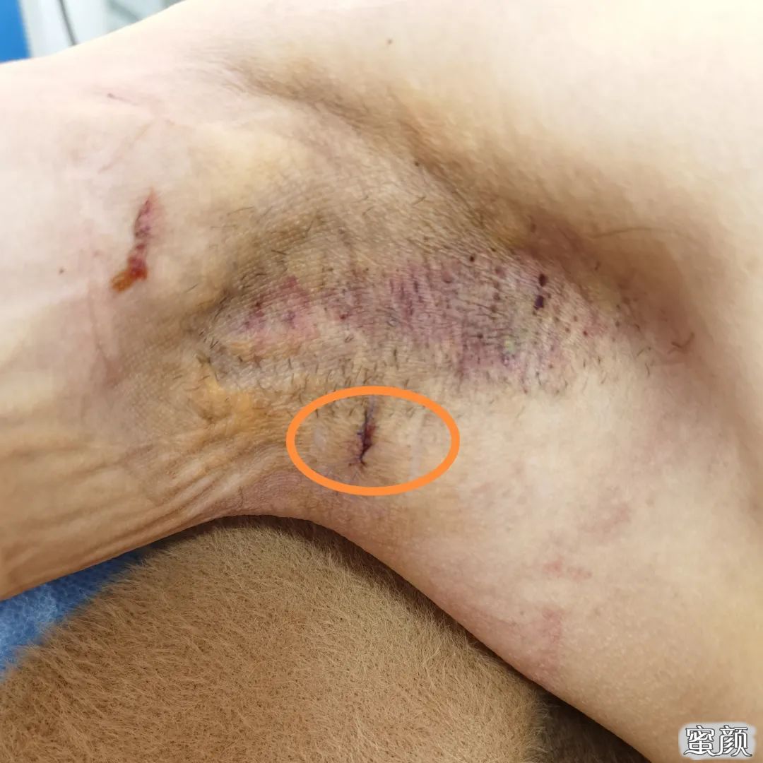 https://img.miyanlife.com/mnt/timg/210424/141100C12-3.jpg