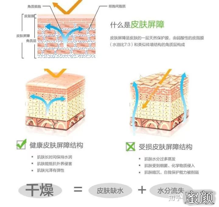 https://img.miyanlife.com/mnt/timg/210426/1F5125242-1.jpg