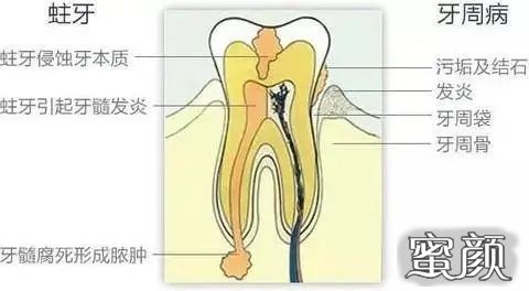 案例图片