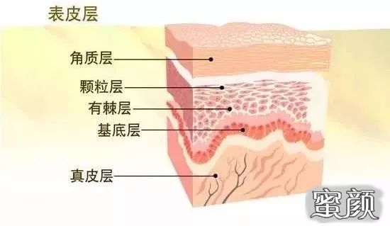 https://img.miyanlife.com/mnt/timg/210505/2056111L7-2.jpg