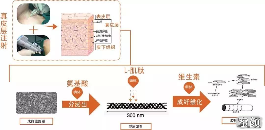 案例图片