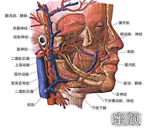 案例图片