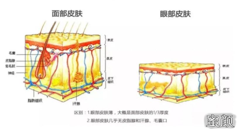 案例图片