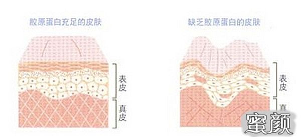 https://img.miyanlife.com/mnt/timg/210509/1601444561-0.jpg