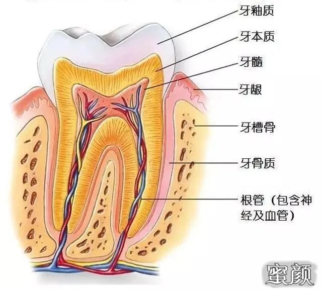 案例图片