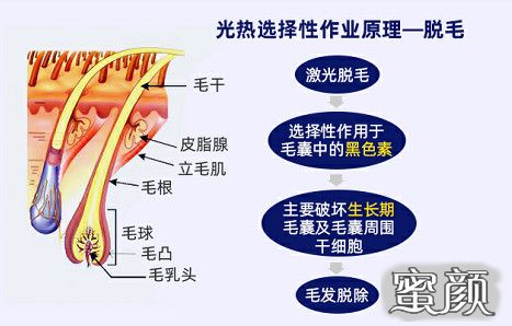 案例图片