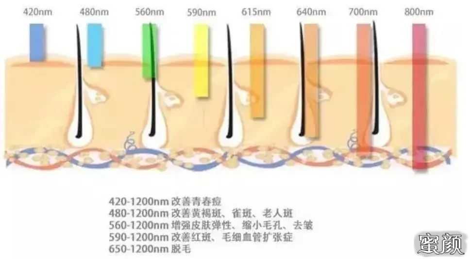 https://img.miyanlife.com/mnt/timg/210513/144302K94-4.jpg
