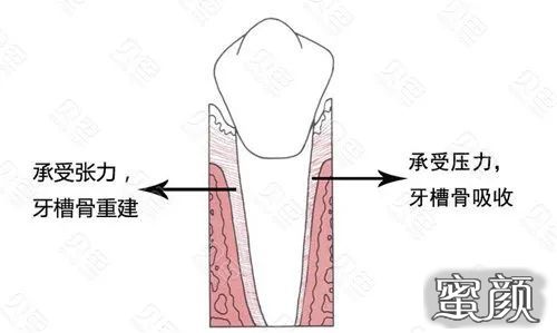 案例图片