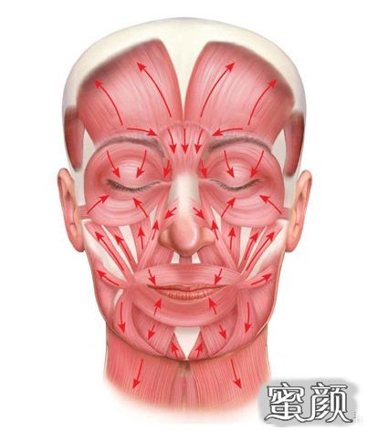 https://img.miyanlife.com/mnt/timg/210528/2213043P4-7.jpg