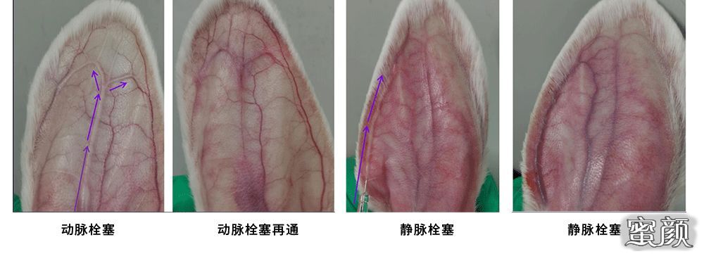 https://img.miyanlife.com/mnt/timg/210529/23312RX6-0.jpg