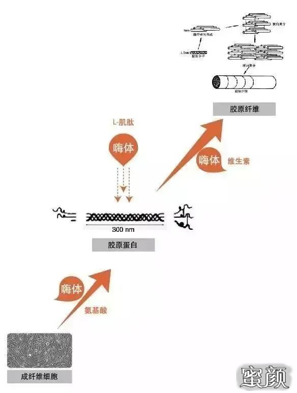 https://img.miyanlife.com/mnt/timg/210605/0K34Q5a-0.jpg