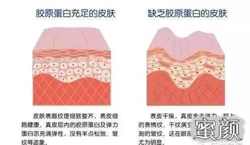 案例图片