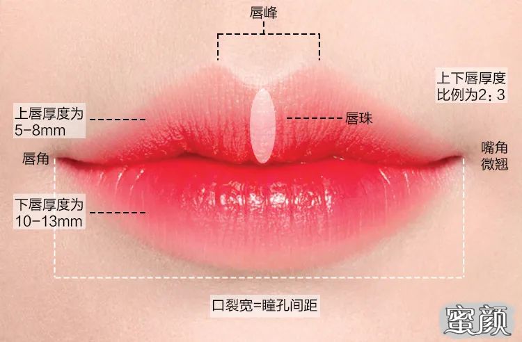 嘴唇的形状影响着我们五官的整体美感对于爱美的人来说嘴唇的