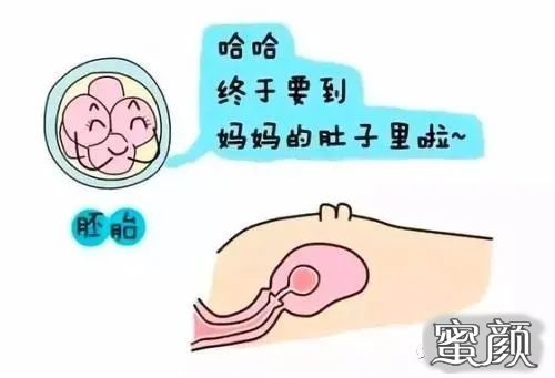 案例图片