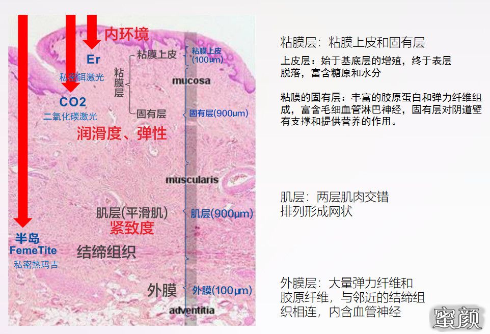 案例图片