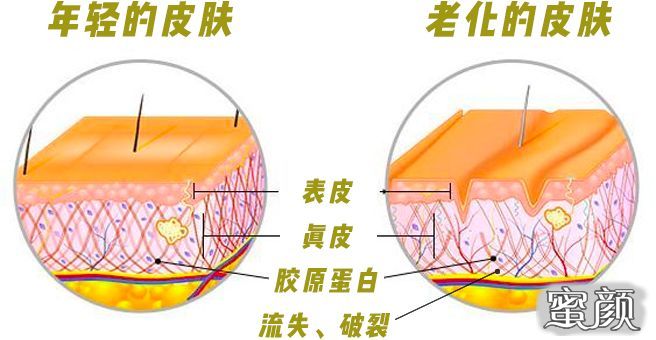 https://img.miyanlife.com/mnt/timg/210717/23400HJ1-1.jpg